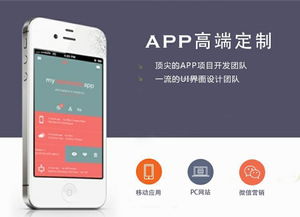 APP定制開發完整思路及流程