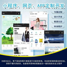 廈門軟件開發外包小程序app軟件外包開發定制2019年解決方案